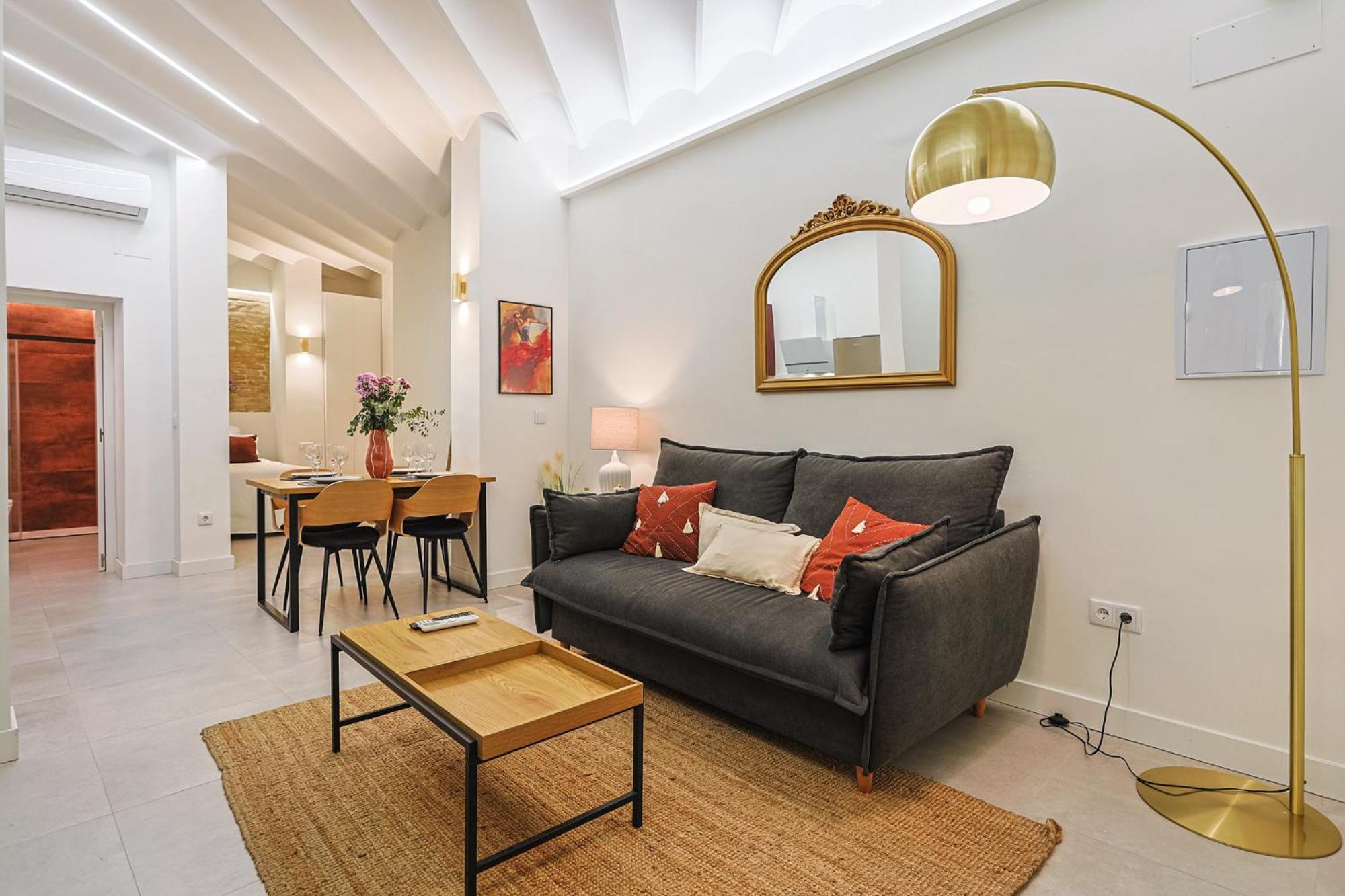 Appartement Luxury Petit Loft